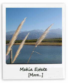 Makia Estate Vineyard in Mendoza