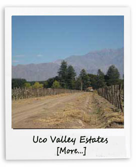 Uco Valley Argentina