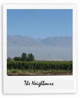 la-agustina-neighbours