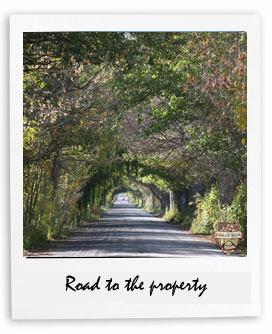 la-agustina-road-property