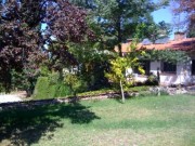 Tourism, Vineyards & Olives in Maipu 
