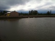 Malbec vineyard in the heart of Valle de Uco