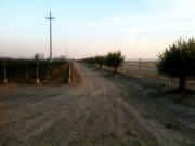 First Class Vineyards in Super Prime Location!