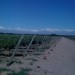 Vineyards on Route 89, Gualtallary, Tupungato at Route 89, Gualtallary, Tupungato for 1800000